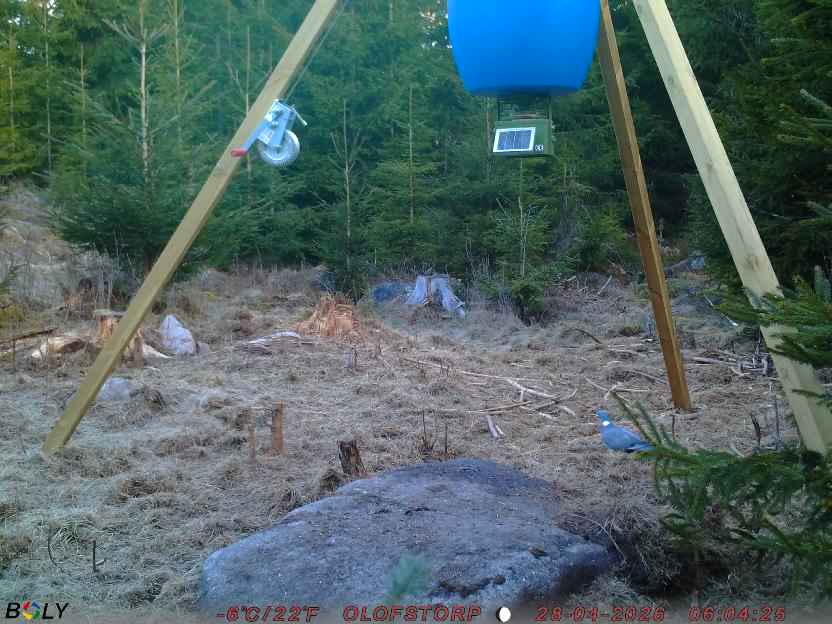 Bild från STORATRÄA