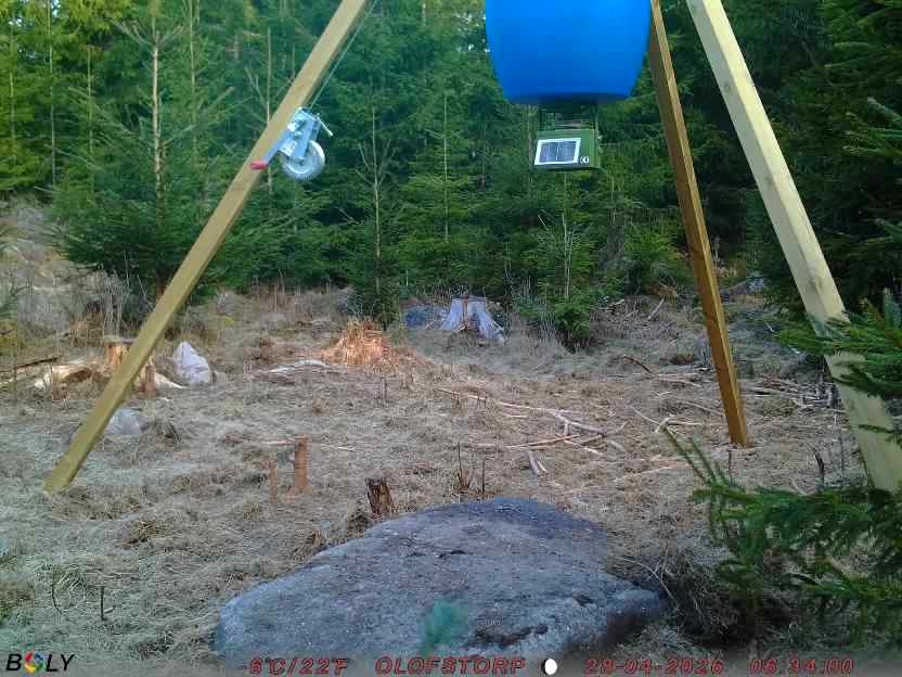 Bild från STORATRÄA