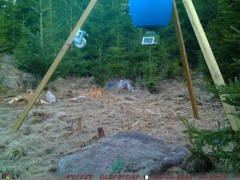 Bild från STORATRÄA