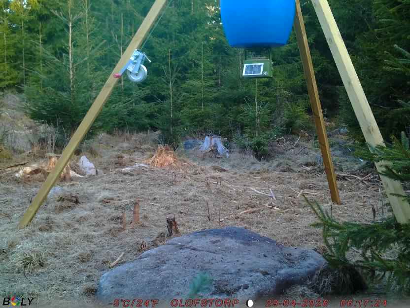 Bild från STORATRÄA