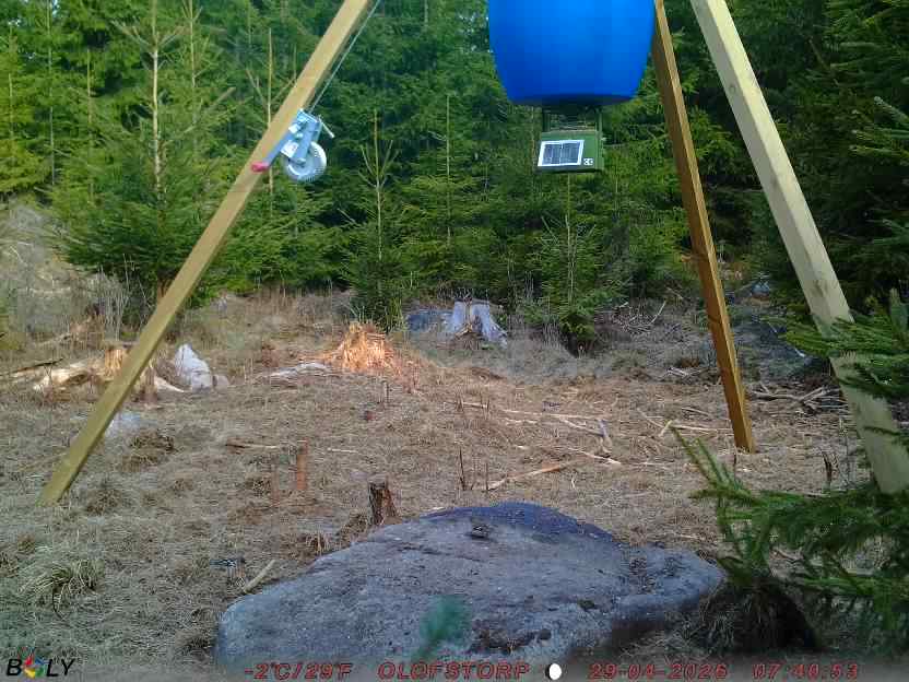 Bild från STORATRÄA