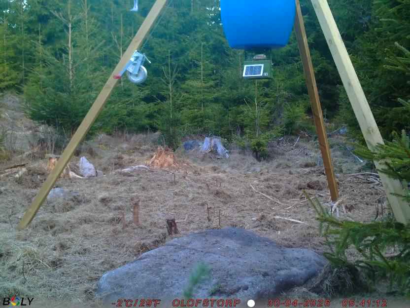 Bild från STORATRÄA