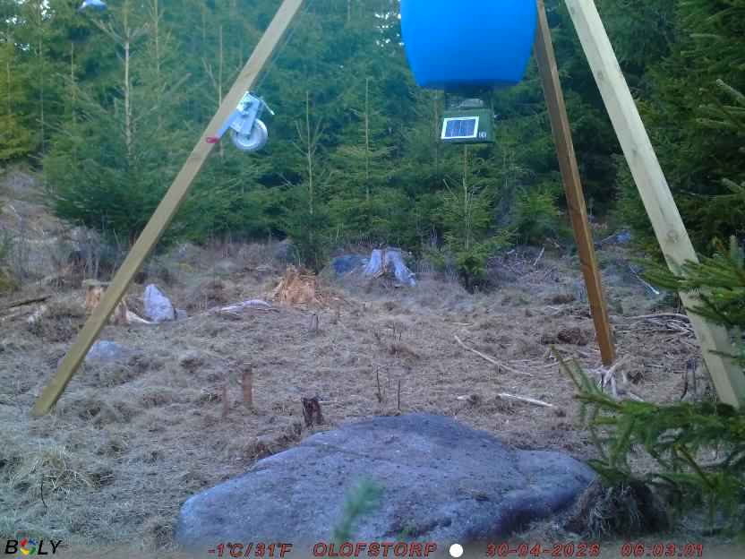 Bild från STORATRÄA