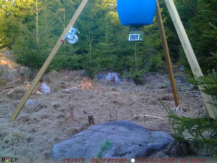 Bild från STORATRÄA