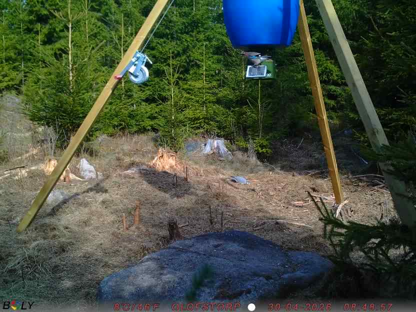 Bild från STORATRÄA