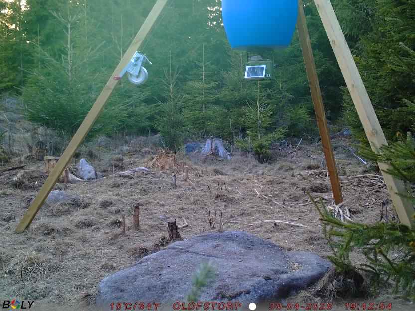 Bild från STORATRÄA