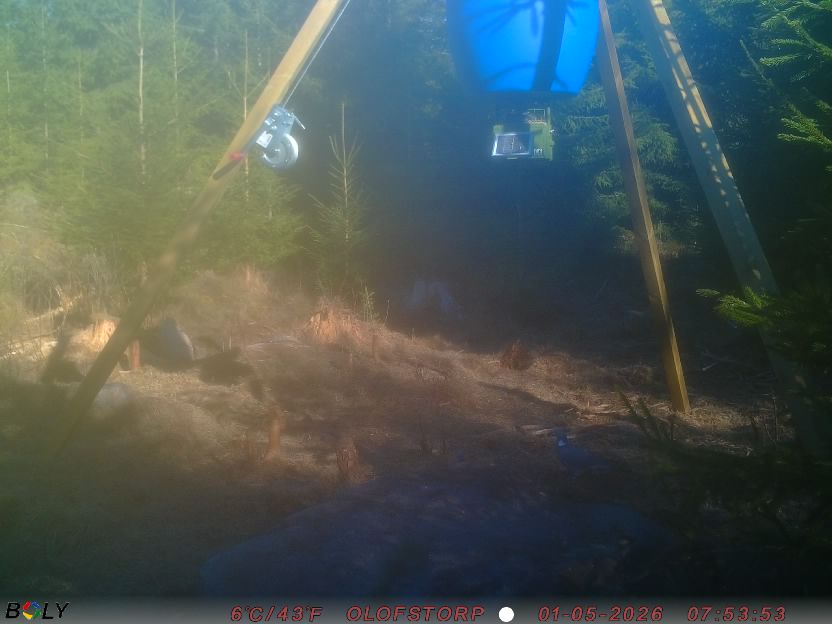 Bild från STORATRÄA