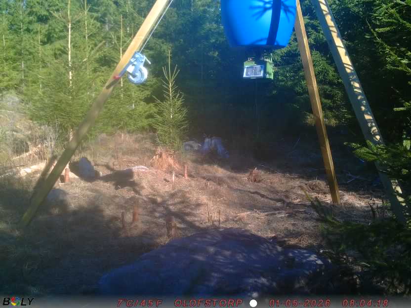 Bild från STORATRÄA