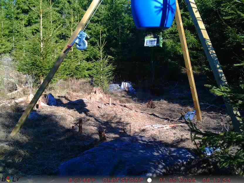Bild från STORATRÄA