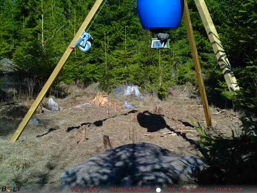 Bild från STORATRÄA