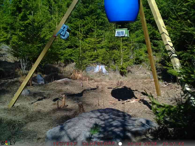 Bild från STORATRÄA