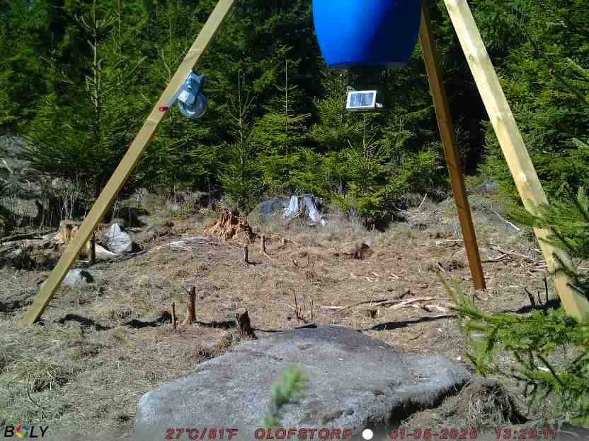 Bild från STORATRÄA