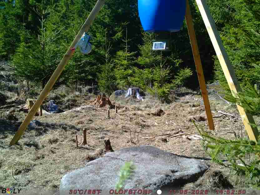 Bild från STORATRÄA