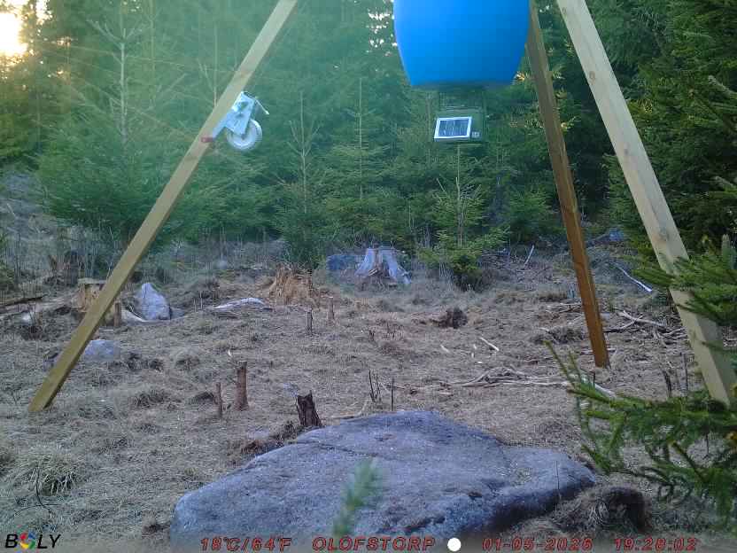 Bild från STORATRÄA