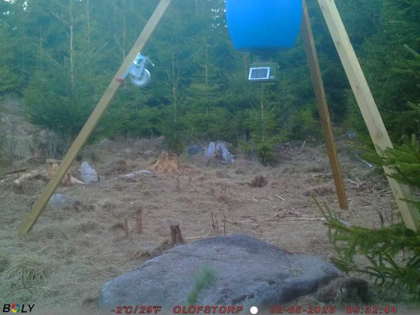 Bild från STORATRÄA