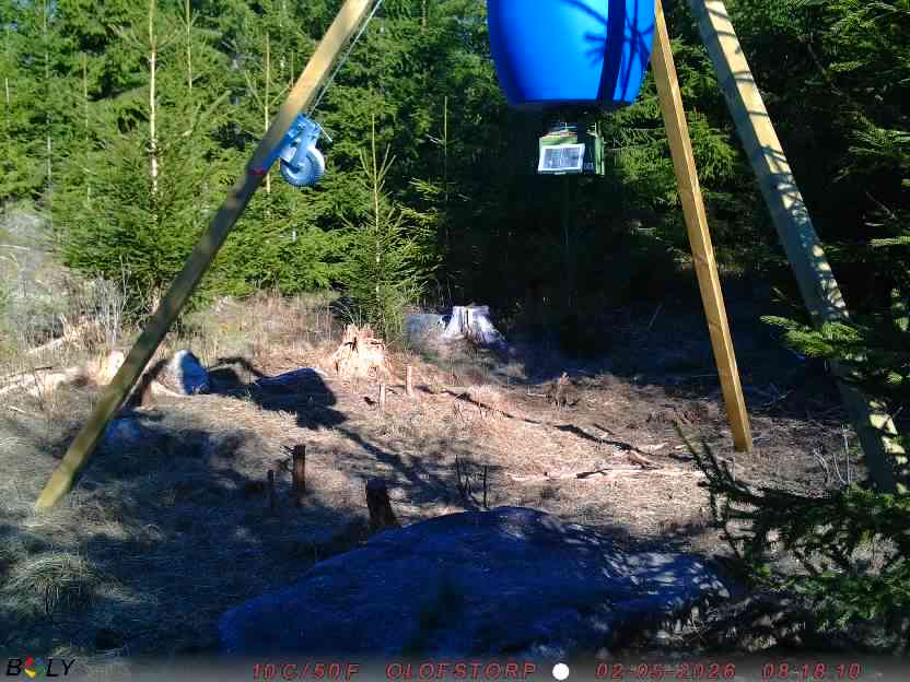 Bild från STORATRÄA