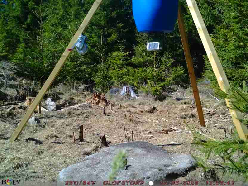 Bild från STORATRÄA