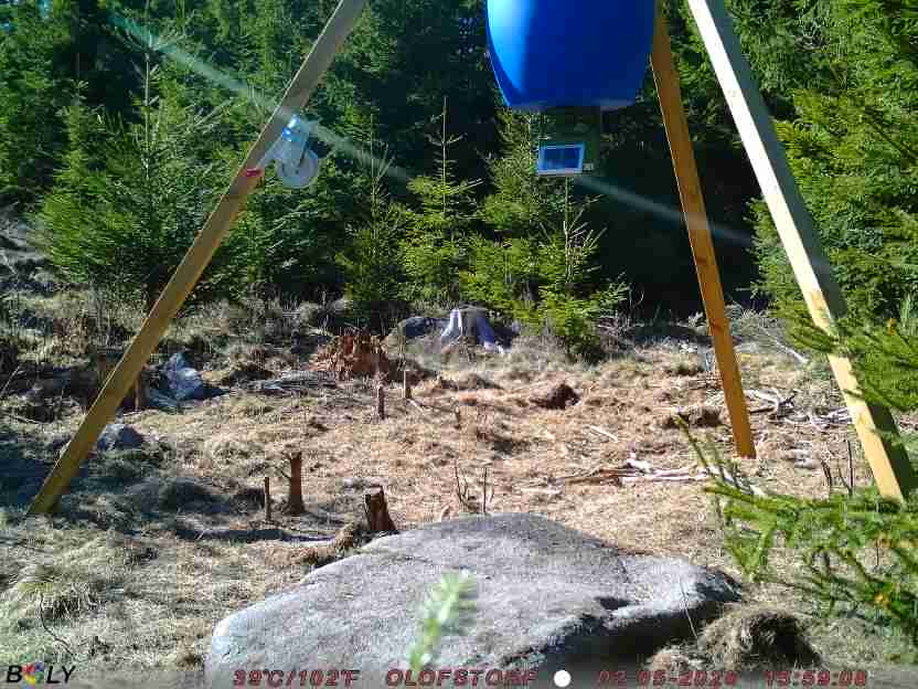 Bild från STORATRÄA