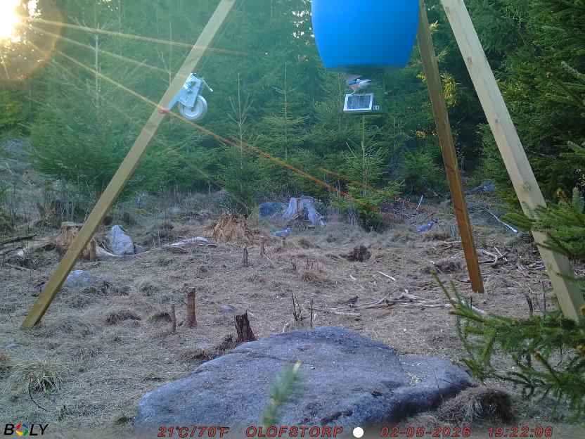Bild från STORATRÄA