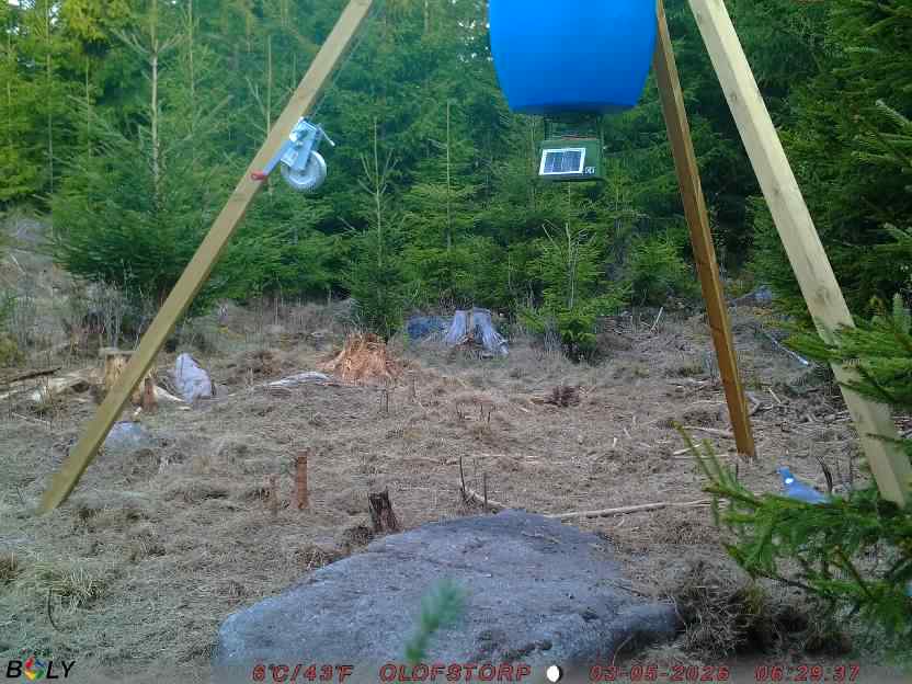 Bild från STORATRÄA
