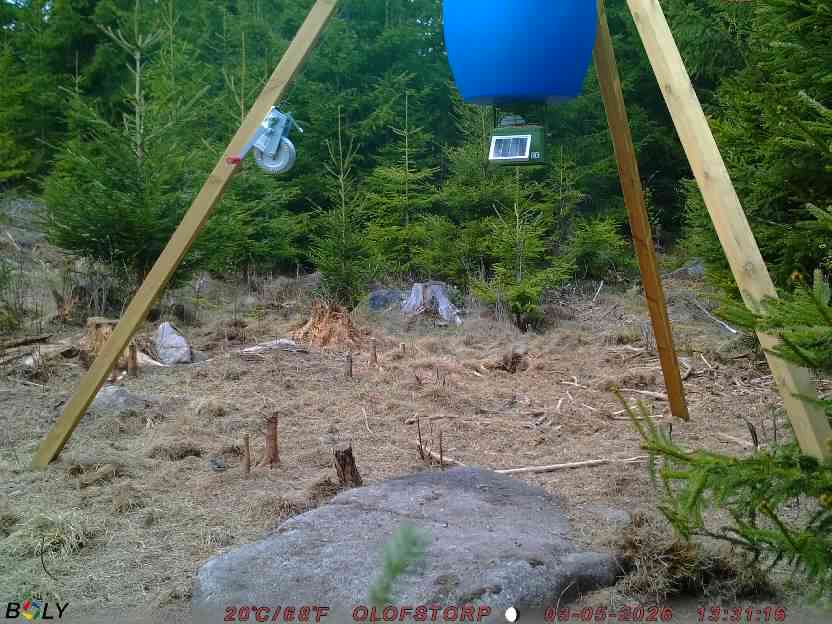 Bild från STORATRÄA