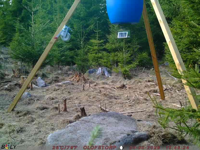 Bild från STORATRÄA