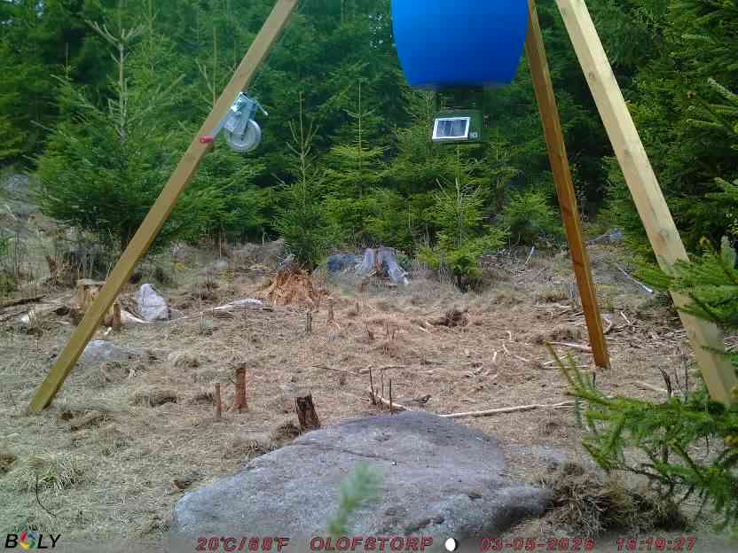Bild från STORATRÄA