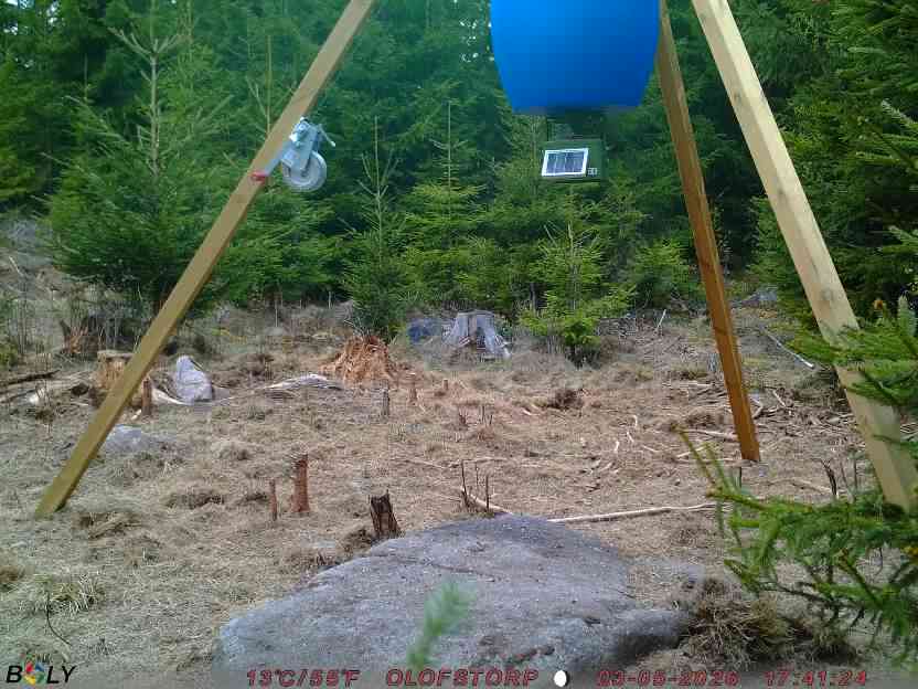 Bild från STORATRÄA