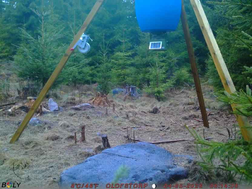 Bild från STORATRÄA