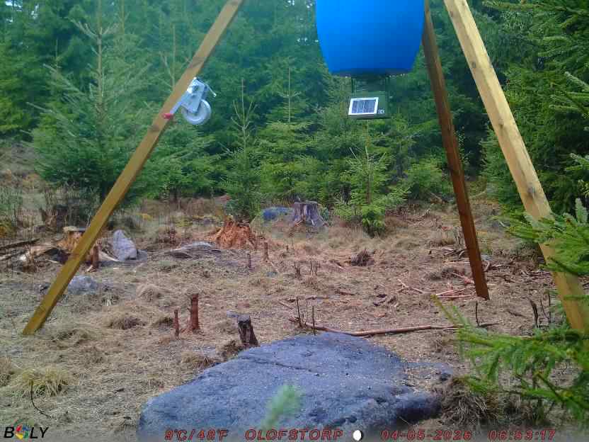 Bild från STORATRÄA
