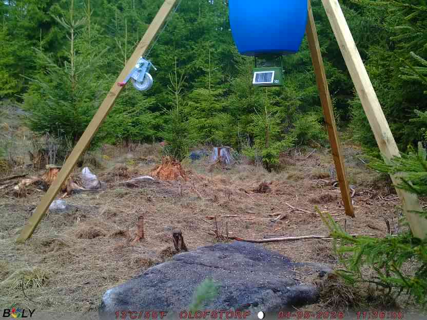 Bild från STORATRÄA