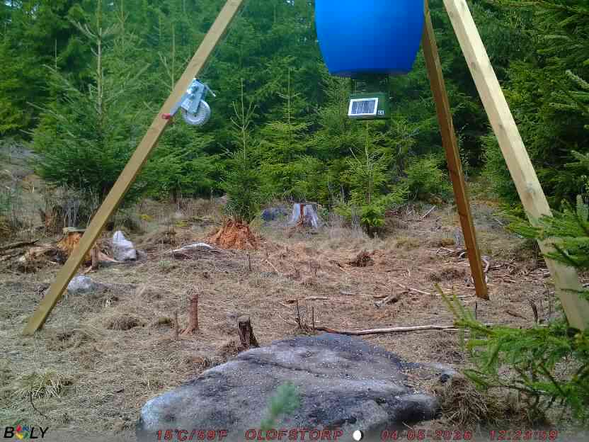 Bild från STORATRÄA