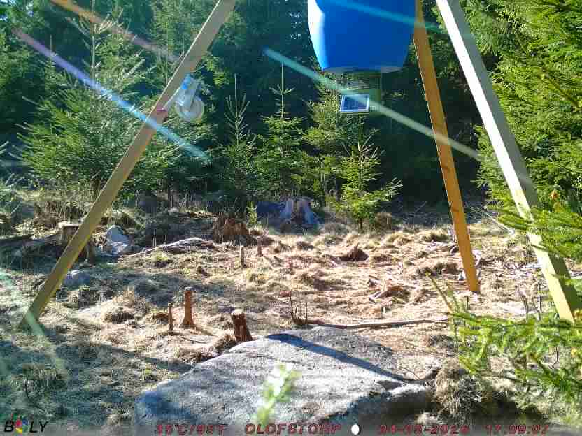 Bild från STORATRÄA