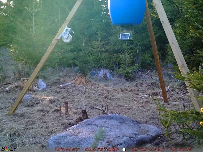 Bild från STORATRÄA