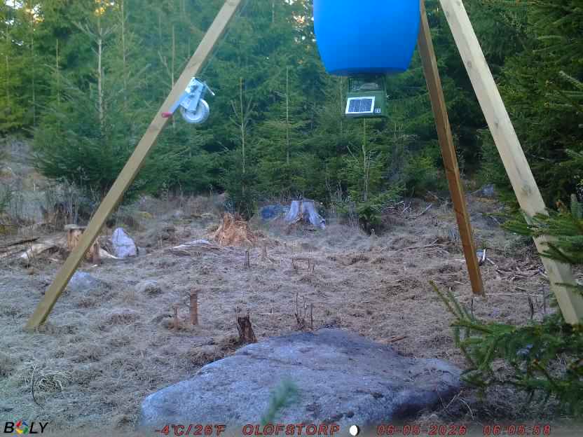 Bild från STORATRÄA