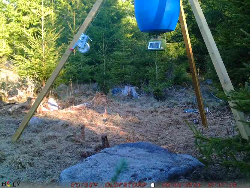 Bild från STORATRÄA