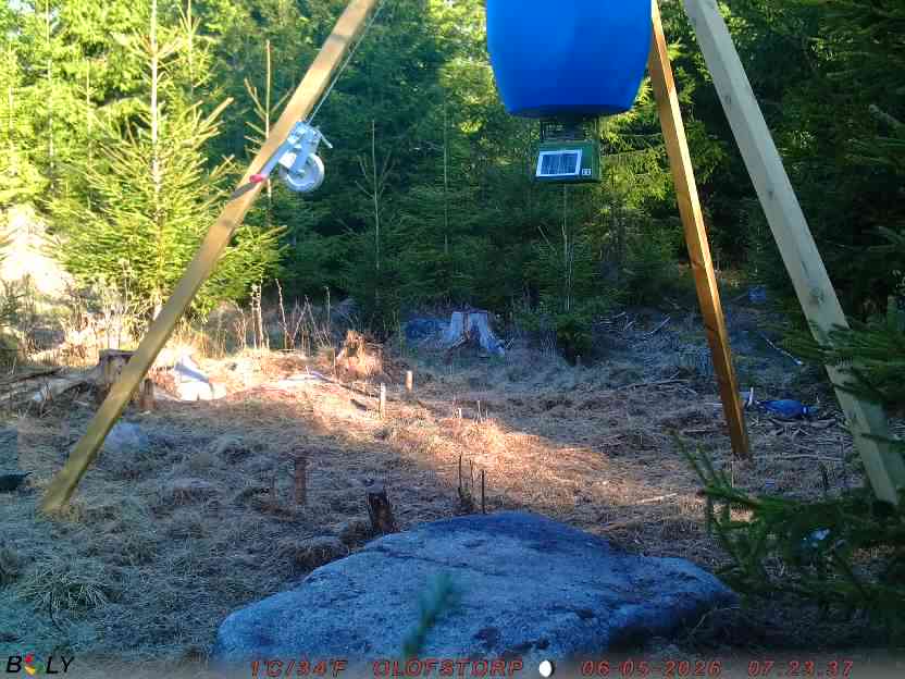 Bild från STORATRÄA