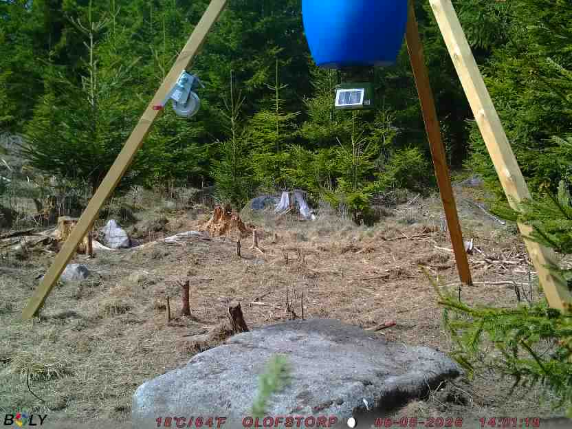 Bild från STORATRÄA