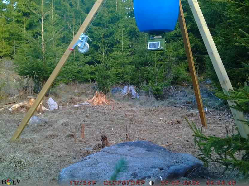 Bild från STORATRÄA