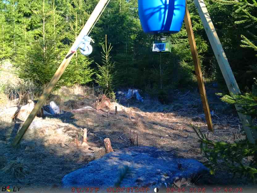 Bild från STORATRÄA