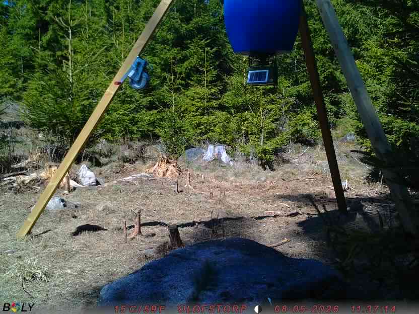 Bild från STORATRÄA