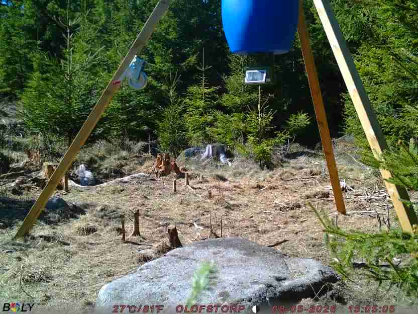 Bild från STORATRÄA