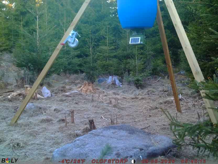 Bild från STORATRÄA