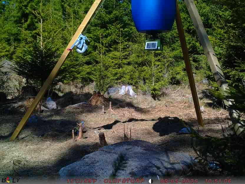 Bild från STORATRÄA