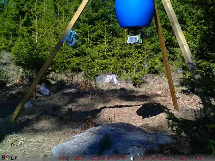 Bild från STORATRÄA
