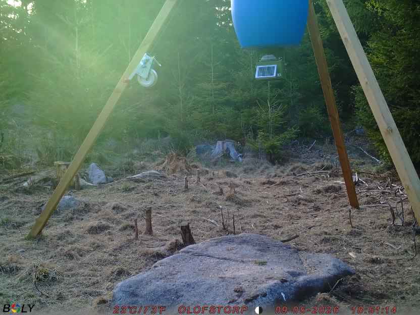 Bild från STORATRÄA