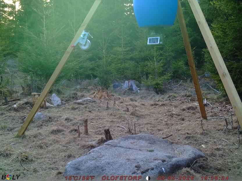 Bild från STORATRÄA