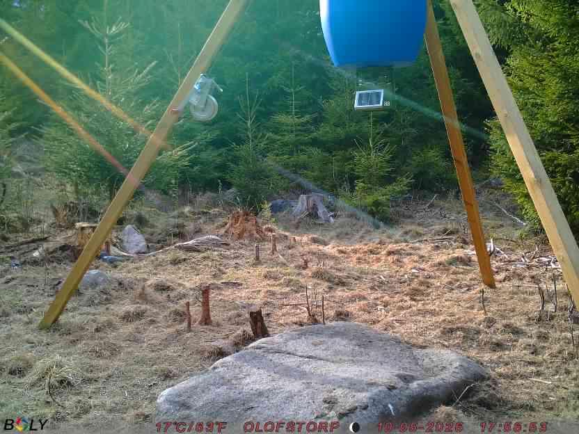 Bild från STORATRÄA