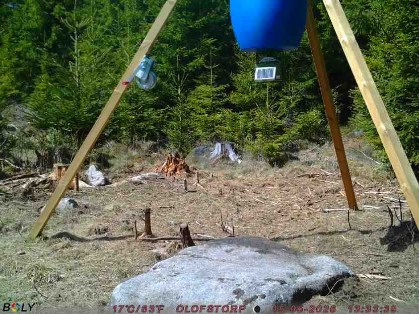Bild från STORATRÄA