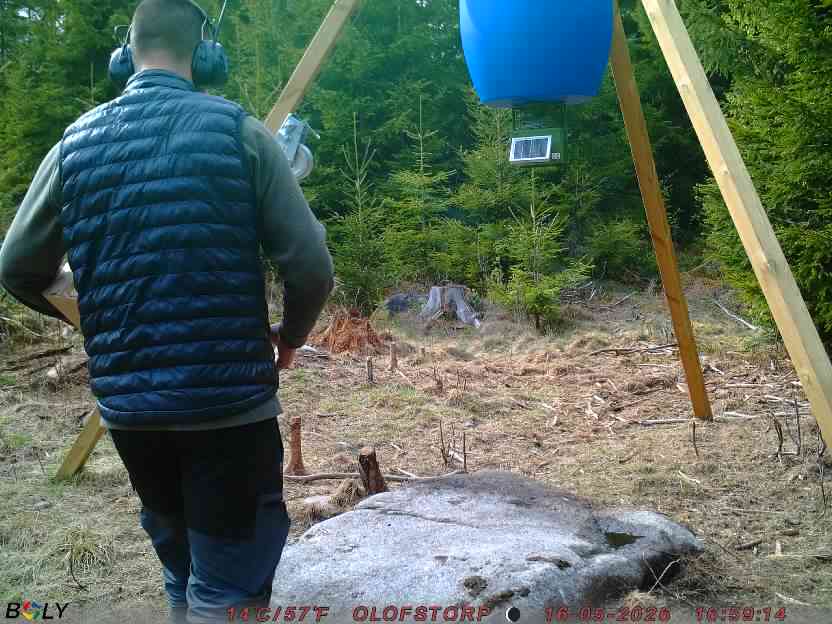 Bild från STORATRÄA